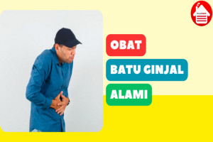 5 Obat Batu Ginjal Tanpa Operasi dari Bahan Alami