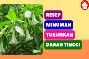 7 Resep Minuman Herbal Lezat untuk Menurunkan Darah Tinggi