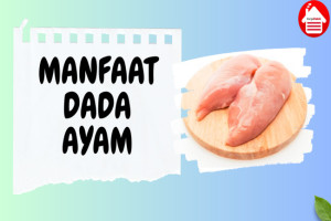 6 Manfaat Dada Ayam: Sumber Gizi Seimbang untuk Kesehatan