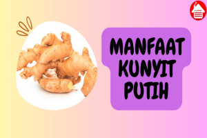 5 Manfaat Kunyit Putih untuk Kesehatan: Ampuh Lawan Kanker