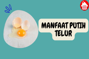 Mengungkap 8 Manfaat Luar Biasa Putih Telur untuk Tubuh Anda