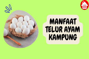 6 Manfaat Telur Ayam Kampung, Apakah Lebih Sehat?