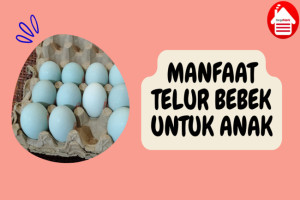 8 Manfaat Telur Bebek untuk Dukung Pertumbuhan Anak