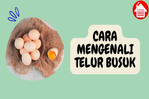 5 Cara Sederhana dalam Mengenali Telur Busuk