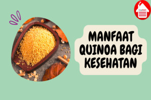 9 Manfaat Quinoa bagi Tubuh yang Dibuktikan secara Ilmiah