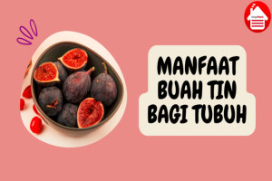 9 Manfaat Buah Tin bagi Tubuh yang Tidak Banyak Diketahui