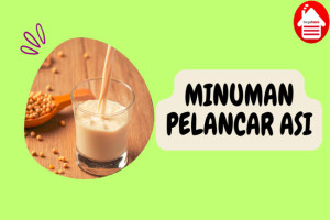 4 Minuman Segar untuk Melancarkan Produksi ASI secara Alami