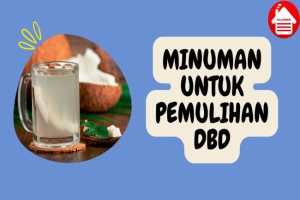 6 Minuman yang Efektif untuk Pemulihan Demam Berdarah