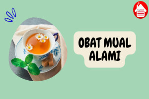 8 Pilihan Obat Alami yang Terbukti Efektif Mengatasi Mual