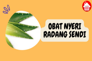 9 Obat Tradisional yang Ampuh Redakan Nyeri Radang Sendi