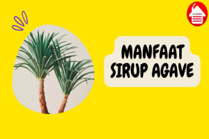 6 Manfaat Sirup Agave: Lebih Sehat dari Gula Biasa?