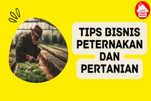 7 Tips Sukses dalam Bisnis Peternakan dan Pertanian