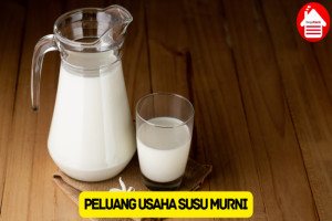 Simak Peluang Usaha Susu Murni dan Analisis Usahanya