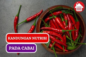 Ini Dia Kandungan Nutrisi pada Cabai