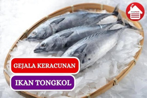 Gejala Keracunan Setelah Makan Ikan Tongkol