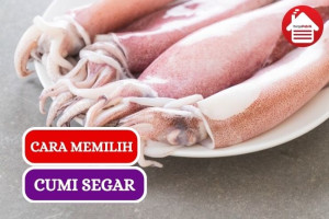 10 Cara Memilih Cumi Segar Agar Lezat saat Dimasak