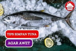 Tips Menyimpan Tuna Agar Tetap Segar