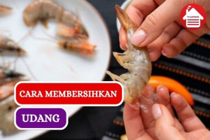 6 Cara Membersihkan Udang Agar Bersih saat Dimasak