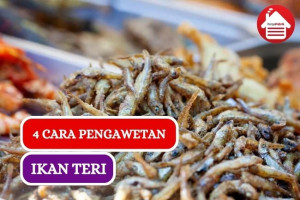 4 Cara Pengawetan Ikan Teri yang Harus Kamu Tau