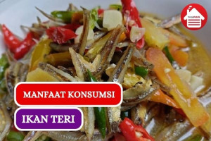 Ini Dia 6 Manfaat Konsumsi Ikan Teri