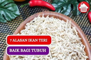 7 Alasan Kenapa Ikan Teri Baik Untuk Tubuh