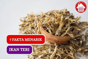 Ini Dia 7 Fakta Menarik Ikan Teri yang Harus Kamu Tau