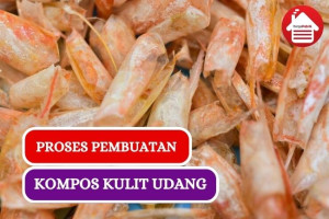 Ini Dia 9 Cara Membuat Kompos Kulit Udang