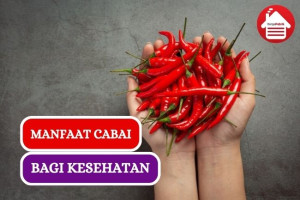 Pecinta Pedas Harus Tau, Ini Dia 9 Manfaat Cabai bagi Tubuh