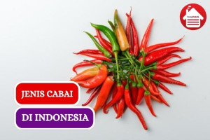 7 Jenis Cabai di Indonesia, Mana Favoritmu??