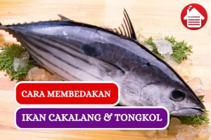 5 Cara Membedakan Ikan Cakalang dengan Ikan Tongkol