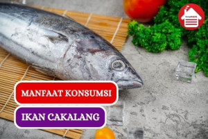 7 Manfaat Konsumsi Ikan Cakalang bagi Kesehatan