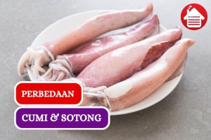 4 Perbedaan Cumi dan Sotong, Yuk Kenali