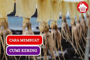 8 Cara Membuat Cumi Kering dengan Mudah