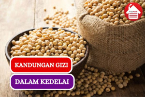 6 Kandungan Gizi Kedelai yang Banyak Manfaatnya