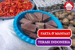 Ini Dia Fakta Manfaat Terasi yang Jarang Orang Tau