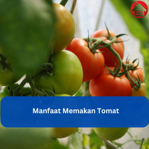 Manfaat Memakan Tomat