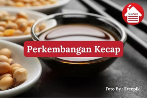 Perkembangan Kecap: Dari Tradisi Kuno ke Industri Modern