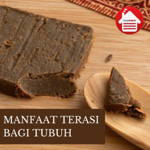 Manfaat Terasi Bagi Tubuh