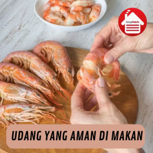 Jenis-jenis Udang yang Bisa Dimakan