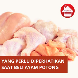  Yang Harus Ditetahui Sebelum Membeli Ayam Potong!!