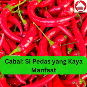 Cabai: Si Pedas yang Kaya Manfaat