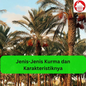 Jenis-Jenis Kurma dan Karakteristiknya