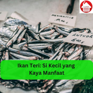 Ikan Teri: Si Kecil yang Kaya Manfaat