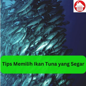 Tips Memilih Ikan Tuna yang Segar