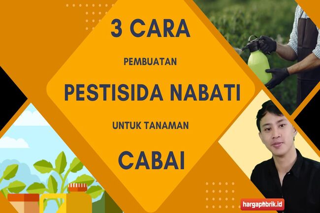 Cara Pembuatan Pestisida Nabati Untuk Tanaman Cabai