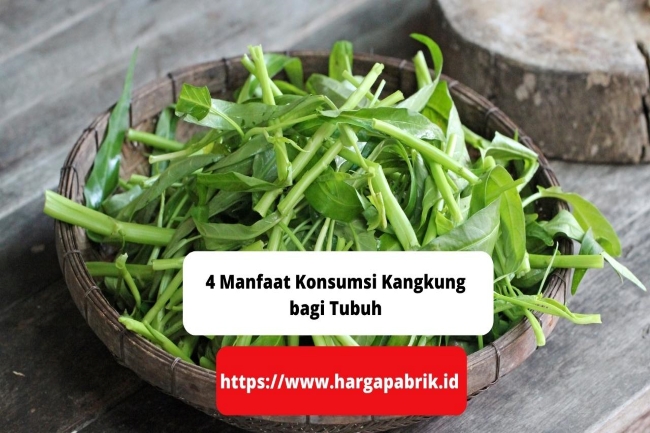 4 Manfaat Konsumsi Kangkung Bagi Tubuh 0496