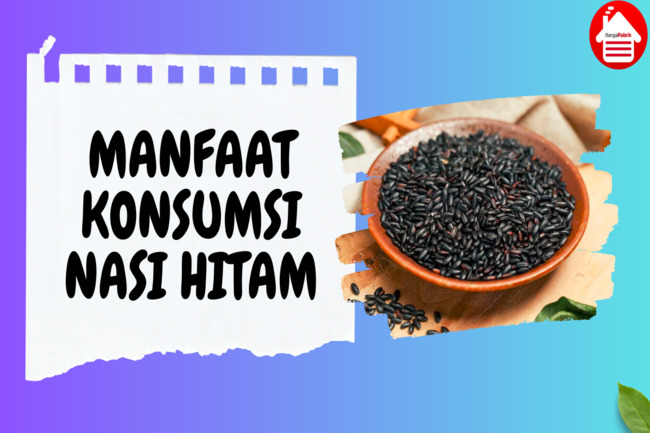 7 Manfaat Konsumsi Nasi Hitam: Kaya Akan Nutrisi